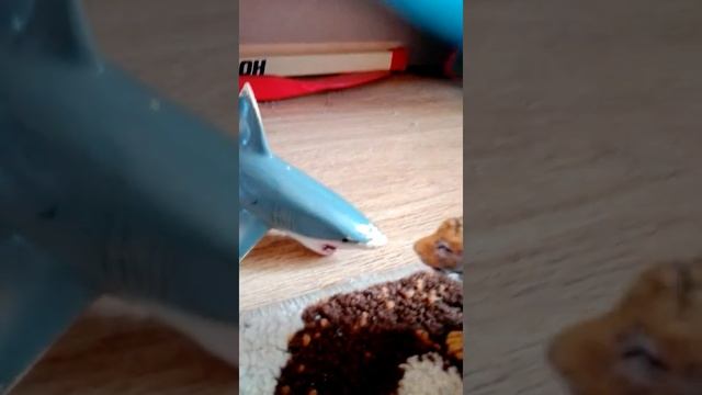 Тигр против Акулы смотреть онлайн