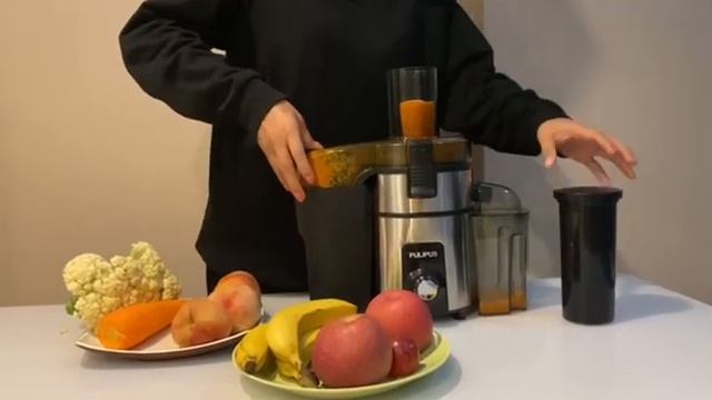 Dual Speed Big Mouth Electric Centrifugal Juicer with Jug and Pulp Container for Fruit Vegetable смотреть онлайн