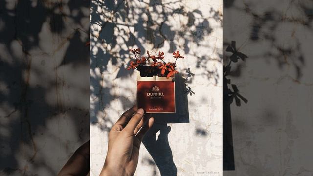 Chi Mai [Piano] смотреть онлайн