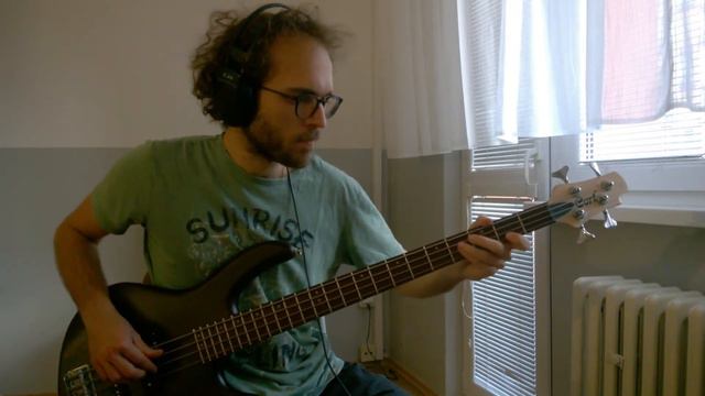 The Doors - People Are Strange (Bass Cover) смотреть онлайн