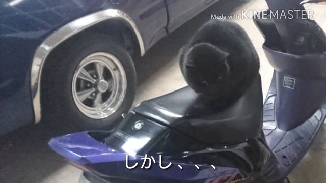 セピアzz 復活への道 1