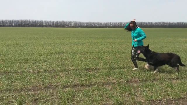 На прогулке 21.04.20. ВЕО смотреть онлайн