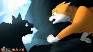 Кленовница клип | Бесприданница| коты воители [заказ]