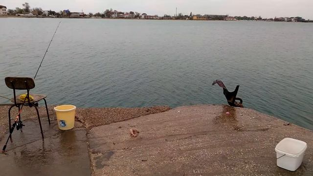 Рыбалка на Азовском море смотреть онлайн