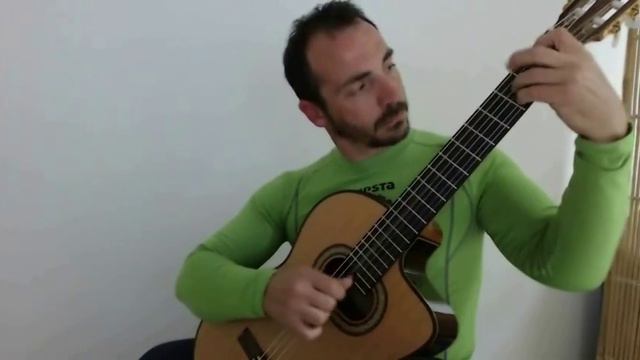 12 studi semplici per chitarra Renato Grandin studi V-VIII смотреть онлайн
