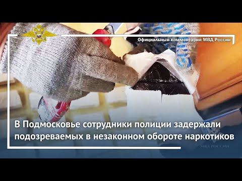 Ирина Волк: В Подмосковье сотрудники полиции задержали подозреваемых в незаконном обороте наркотиков смотреть онлайн