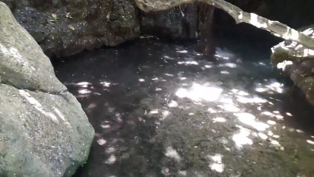 Baths of Aphrodite - Paphos, Cyprus - 11 Aug 2022 смотреть онлайн