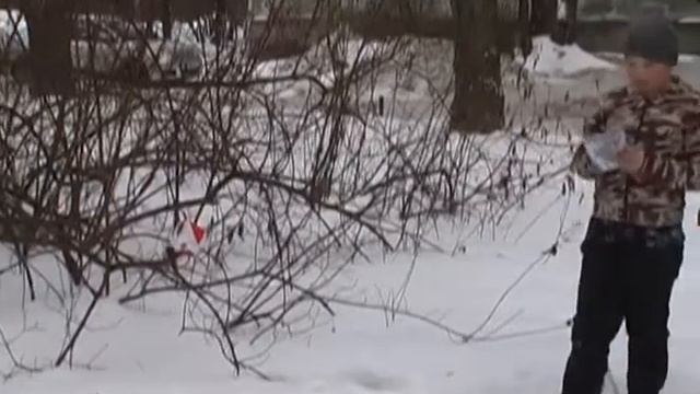 Тренировка по спортивному ориентированию