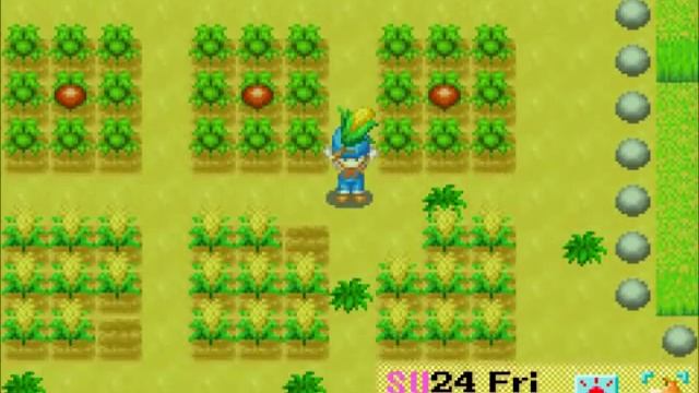 Let's Play Harvest Moon: Friends of Mineral Town 92: Late Summer смотреть онлайн