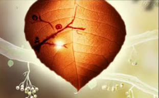 Первый взгляд: Botanicula (Инди-квест)