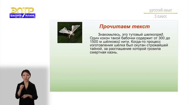 5-класс | Русский язык | Буквы ё, о после шипящих в корне смотреть онлайн