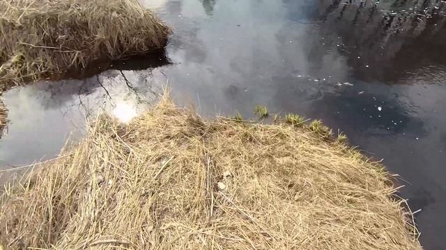 Одиночный сплав по реке Мга