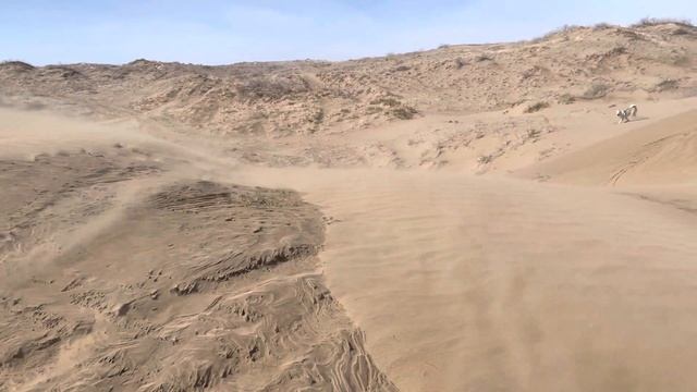 Казахстан.  Капчагайское водохранилище. Kazakhstan. Nature.