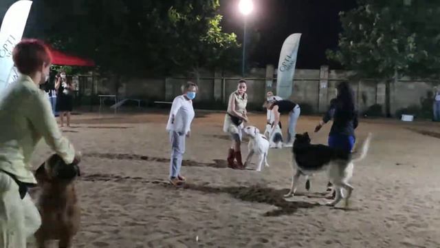 ODIS , ОДІС , ОДИС