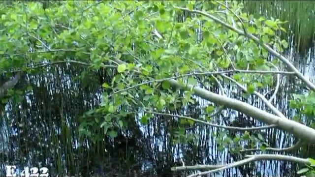 палка,чайник,штырь и два маслёнка смотреть онлайн