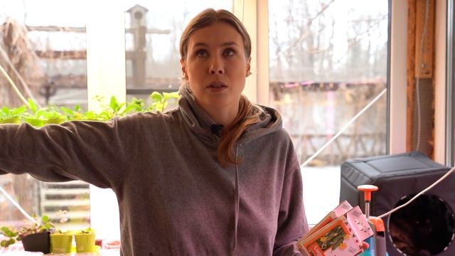 КОГДА И ЧЕМ ПОДКОРМИТЬ РАССАДУ. смотреть онлайн