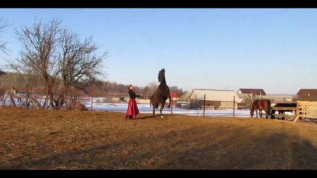 Произвольная. Сидорова Анастасия и Рони II смотреть онлайн