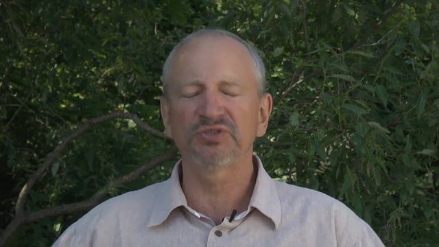 4.Зачем приезжают на Жизниград смотреть онлайн