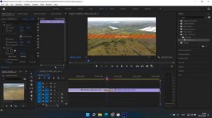 Как создать незаметную склейку в adobe premiere. (morph cut)