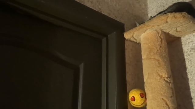 Когтедралка своими руками смотреть онлайн