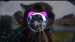 SAVUOON(автор)  МЯУ (Phonk Remix) 1 час