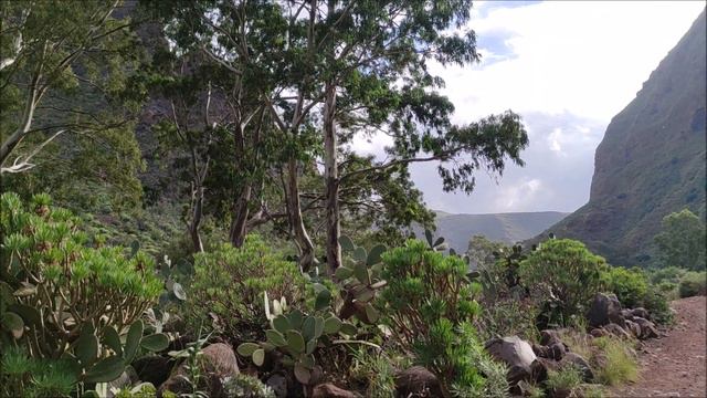 Gran Canaria Verde/Зелёный остров Гран Канария