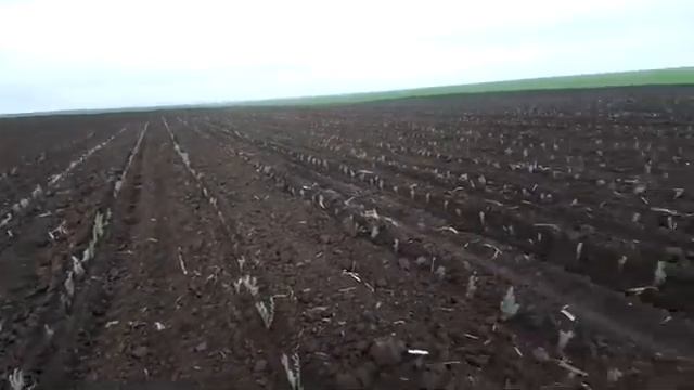 Расадо посадачна машина за лавандула смотреть онлайн