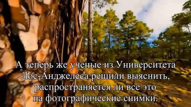 Фотографии любимых людей против боли — Статья смотреть онлайн