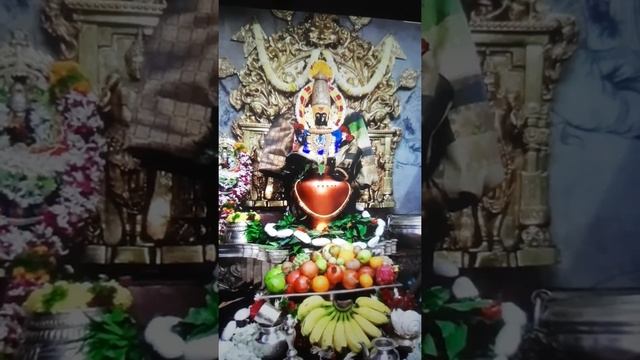 om bhur bhubah swaha...??????????#shorts video. смотреть онлайн