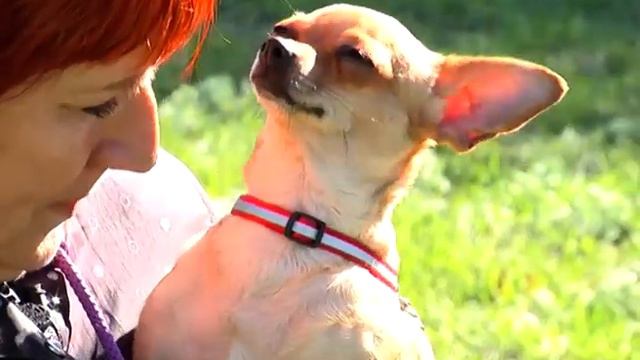 «РУССКИЙ ТОЙ» (13.06) смотреть онлайн