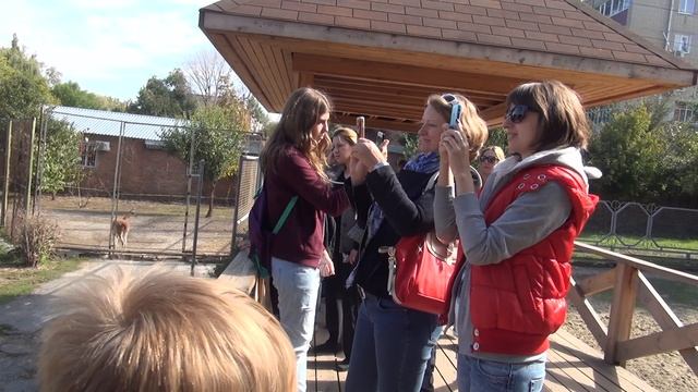 Жираф. Ростовский зоопарк. смотреть онлайн