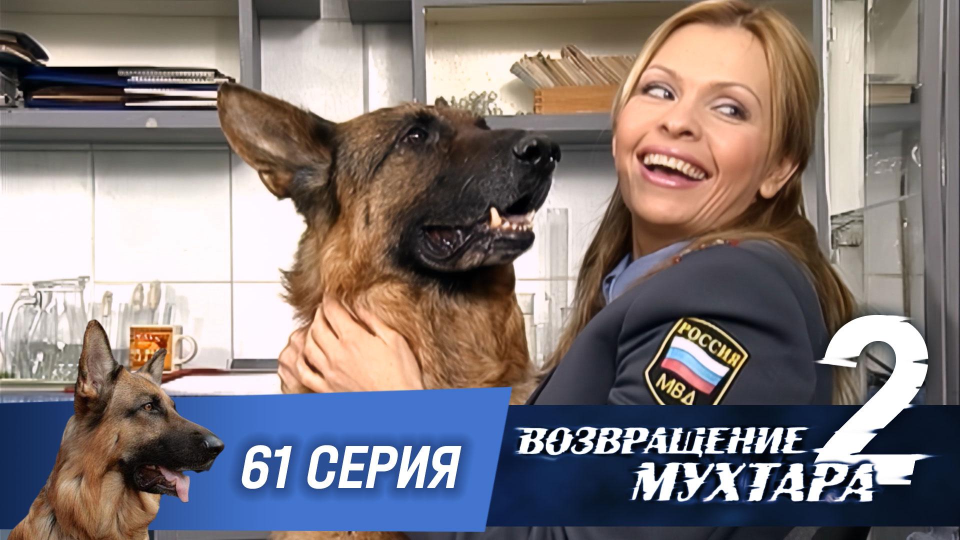 «Возвращение Мухтара — 2». 61 серия. «Молчание — золото» смотреть онлайн
