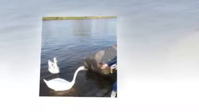 ИСПАНСКИ ТАНЦ -ARMIK смотреть онлайн