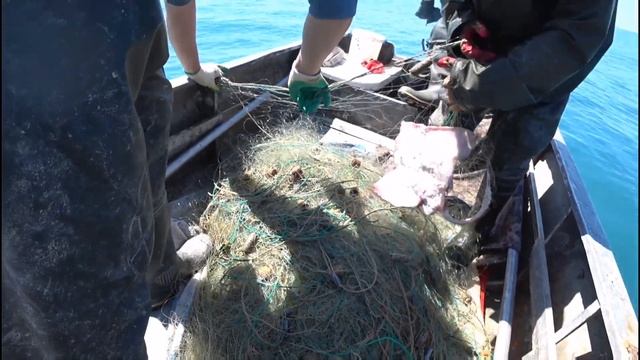 Морская Лиса Скат Камбала рыбалка на сеть смотреть онлайн