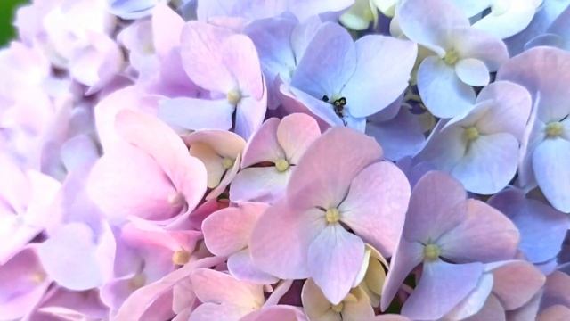 Мастерство и Спонтанность