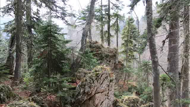 Поездка Выходного Дня смотреть онлайн