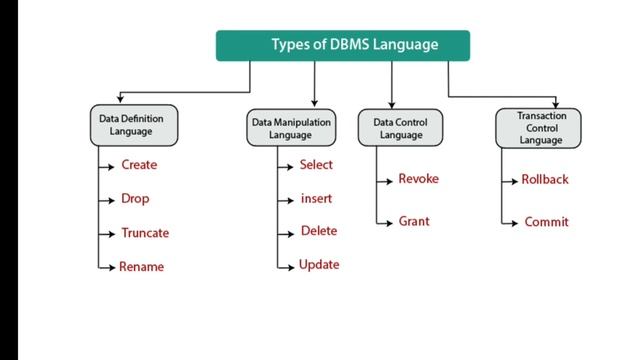Database Languages смотреть онлайн