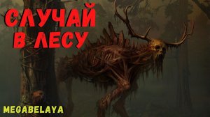 СЛУЧАЙ В ЛЕСУ | Страшные истории