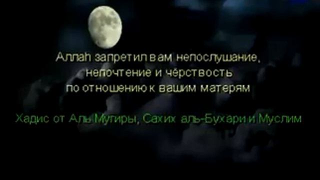 Отношение к родителям в ИСЛАМЕ смотреть онлайн