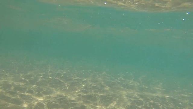 Дикий пляж в Баку | Кристально чистая вода | Ибица отдыхает смотреть онлайн