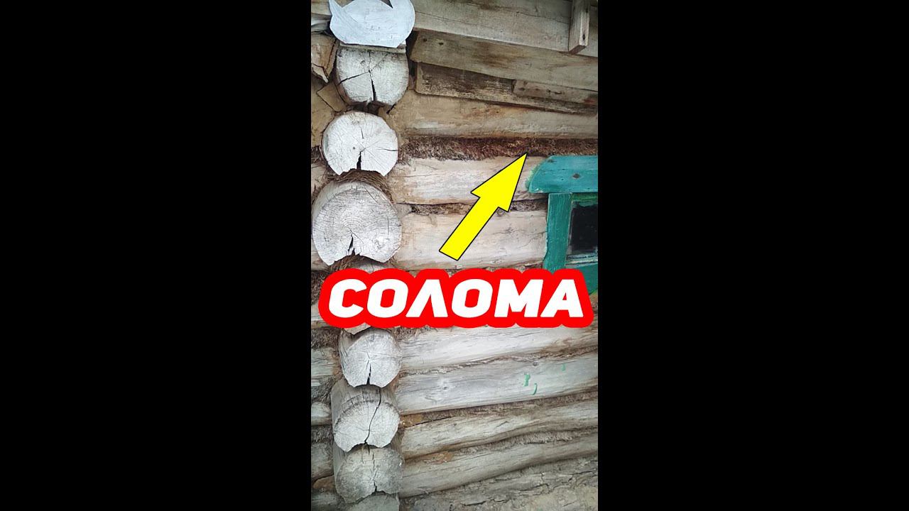 Бане из Липы уже 42 ГОДА!!! Проконопачено Соломой и Глиной #shorts смотреть онлайн