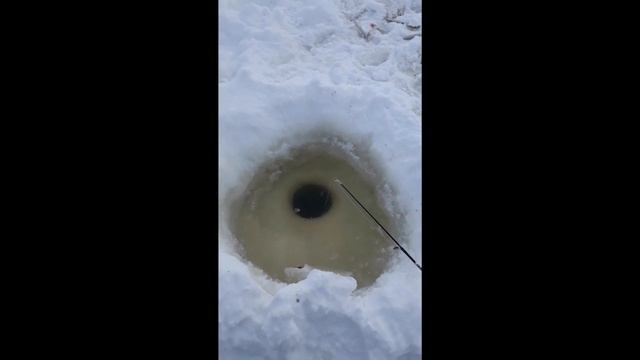 Зимняя рыбалка 2021. Первый выход на рыбалку Река. Амур. 30.01.21 смотреть онлайн