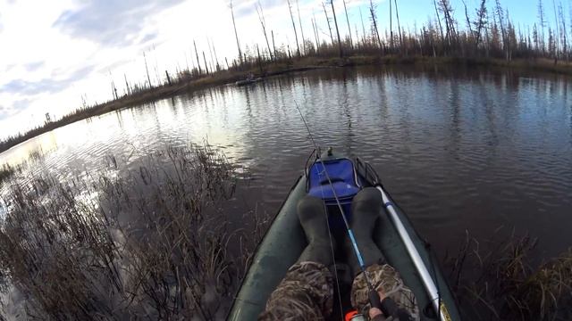 ОСЕНЬЮ ЭТА СТАРИЦА ЗАБИТА РЫБОЙ.ОТЛИЧНАЯ РЫБАЛКА.ОКУНЬ.ЩУКА.НАЛИМ. смотреть онлайн