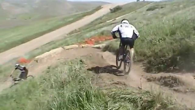 WTB Groovy Final смотреть онлайн