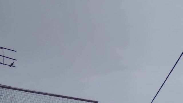 запашные отдыхают смотреть онлайн