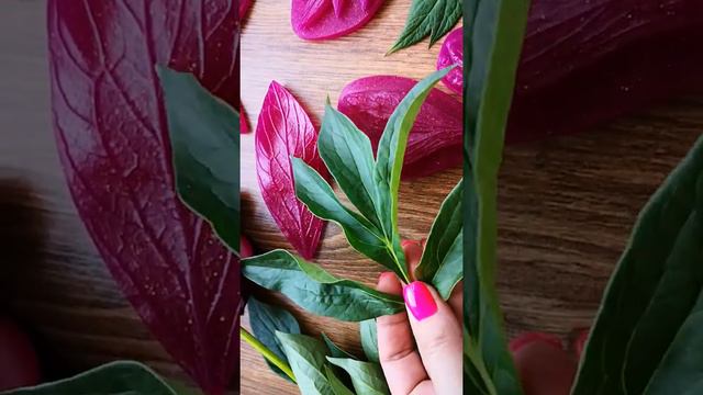 Молды листьев пиона #58, 59,122,166 смотреть онлайн