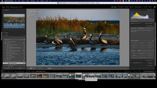 Dehaze vs. Color Efex Pro 5 Clearview...You Decide! смотреть онлайн