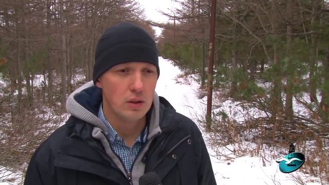 В темном парке смотреть онлайн