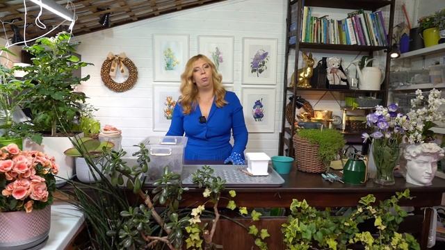 Комнатные цветы из семян смотреть онлайн