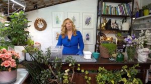 Комнатные цветы из семян